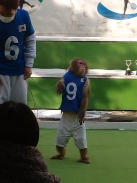 おさるランド＆アニタウン　日光さる軍団劇場に投稿された画像（2021/12/27）