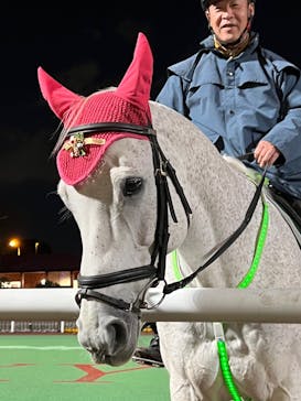 東京メガイルミに投稿された画像（2021/12/27）