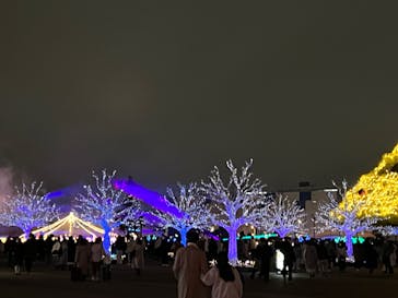 東京メガイルミに投稿された画像（2021/12/27）