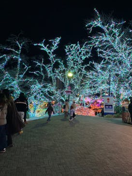 よみうりランド 遊園地に投稿された画像（2021/12/27）