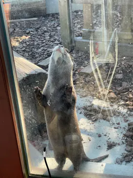 横浜・八景島シーパラダイスに投稿された画像（2021/12/27）