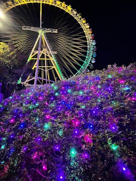 よみうりランド 遊園地に投稿された画像（2021/12/27）