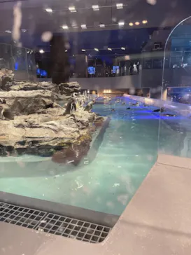 すみだ水族館に投稿された画像（2021/12/27）