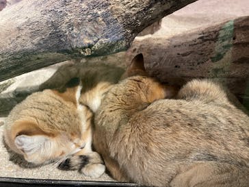 ネオパークオキナワに投稿された画像（2021/12/27）