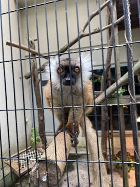 ネオパークオキナワに投稿された画像（2021/12/27）