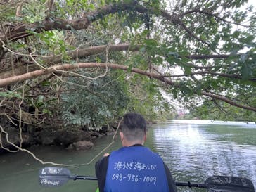 沖縄海うさぎ・海あしびに投稿された画像（2021/12/24）