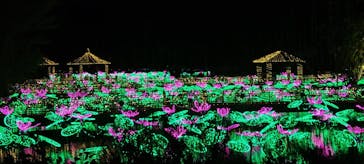 美らヤシパークオキナワ・東南植物楽園に投稿された画像（2021/12/27）