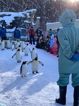 旭川市旭山動物園に投稿された画像（2021/12/27）