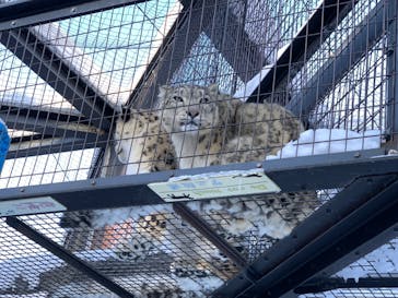 旭川市旭山動物園に投稿された画像（2021/12/27）
