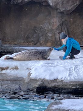 旭川市旭山動物園に投稿された画像（2021/12/27）
