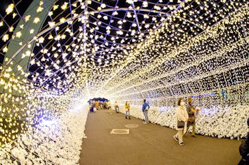 東京メガイルミに投稿された画像（2021/12/27）