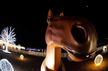 東京メガイルミに投稿された画像（2021/12/27）