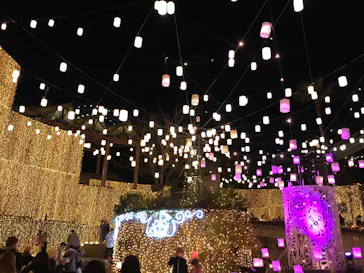 ひらかたパークに投稿された画像（2021/12/27）