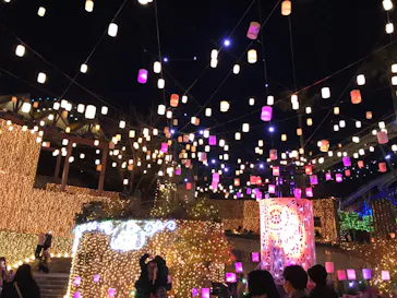 ひらかたパークに投稿された画像（2021/12/27）