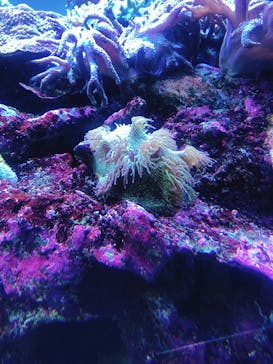 サンシャイン水族館に投稿された画像（2021/12/27）