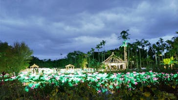 美らヤシパークオキナワ・東南植物楽園に投稿された画像（2021/12/27）
