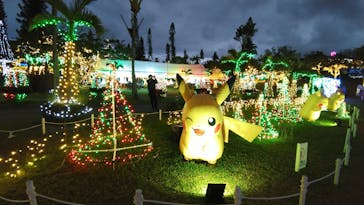 美らヤシパークオキナワ・東南植物楽園に投稿された画像（2021/12/27）
