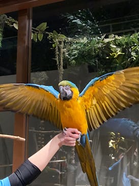 Moff animal world MARK IS みなとみらい店に投稿された画像（2021/12/27）