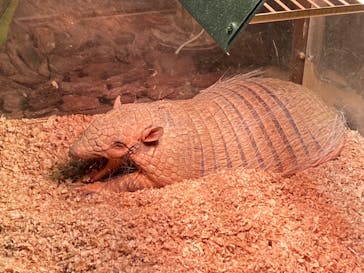 Moff animal world MARK IS みなとみらい店に投稿された画像（2021/12/27）