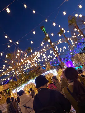 ひらかたパークに投稿された画像（2021/12/27）