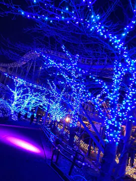 ひらかたパークに投稿された画像（2021/12/27）