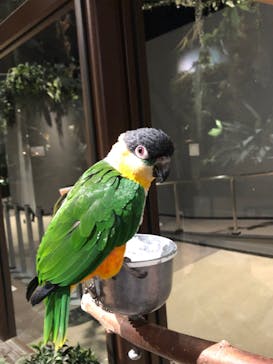 Moff animal world MARK IS みなとみらい店に投稿された画像（2021/12/27）