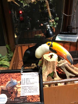 Moff animal world MARK IS みなとみらい店に投稿された画像（2021/12/27）
