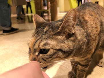 Moff animal world MARK IS みなとみらい店に投稿された画像（2021/12/27）