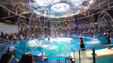 マクセル アクアパーク品川に投稿された画像（2021/12/27）