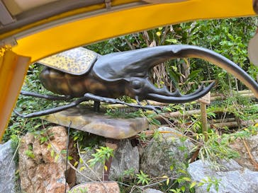 ナゴパイナップルパークに投稿された画像（2021/12/27）