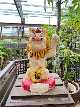 ナゴパイナップルパークに投稿された画像（2021/12/27）