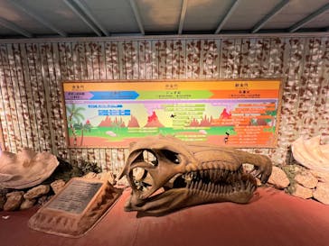 ナゴパイナップルパークに投稿された画像（2021/12/27）