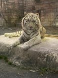 東武動物公園に投稿された画像（2021/12/27）