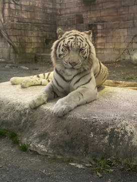 東武動物公園に投稿された画像（2021/12/27）