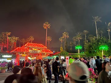 美らヤシパークオキナワ・東南植物楽園に投稿された画像（2021/12/27）