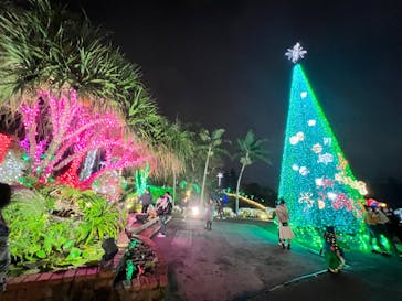 美らヤシパークオキナワ・東南植物楽園に投稿された画像（2021/12/27）