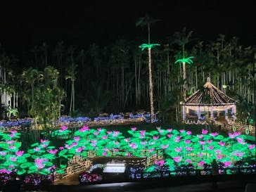 美らヤシパークオキナワ・東南植物楽園に投稿された画像（2021/12/27）