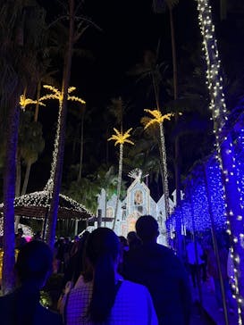 美らヤシパークオキナワ・東南植物楽園に投稿された画像（2021/12/27）