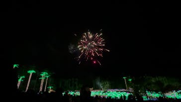 美らヤシパークオキナワ・東南植物楽園に投稿された画像（2021/12/27）