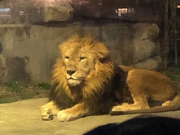 東武動物公園に投稿された画像（2021/12/27）