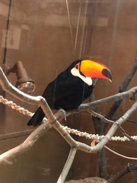 東武動物公園に投稿された画像（2021/12/27）