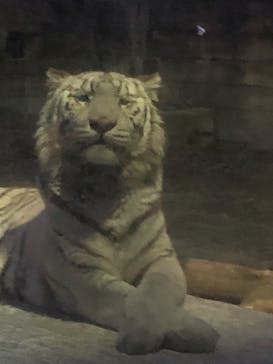 東武動物公園に投稿された画像（2021/12/27）