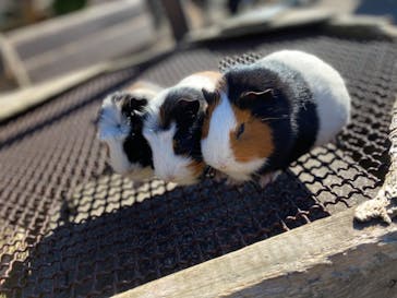 伊豆アニマルキングダムに投稿された画像（2021/12/27）