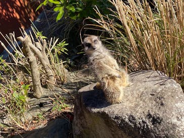 伊豆アニマルキングダムに投稿された画像（2021/12/27）