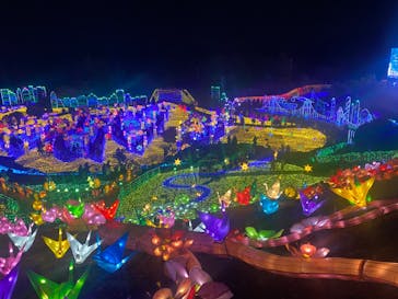 伊豆ぐらんぱる公園に投稿された画像（2021/12/27）