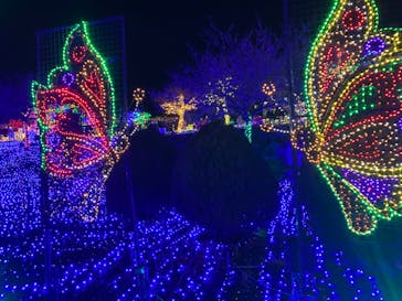 伊豆ぐらんぱる公園に投稿された画像（2021/12/27）