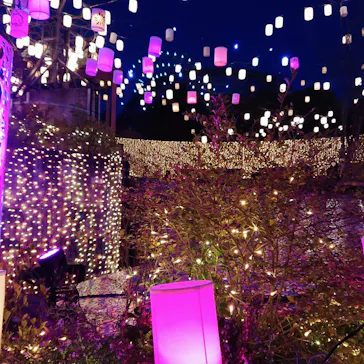 ひらかたパークに投稿された画像（2021/12/27）