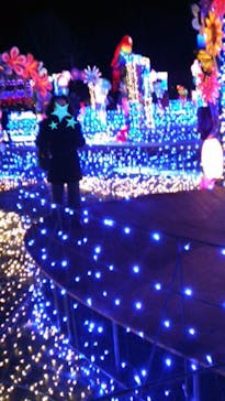 伊豆ぐらんぱる公園に投稿された画像（2021/12/27）