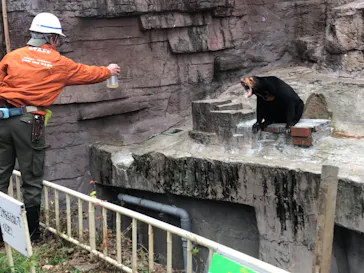 天王寺動物園に投稿された画像（2021/12/27）