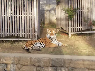 天王寺動物園に投稿された画像（2021/12/26）